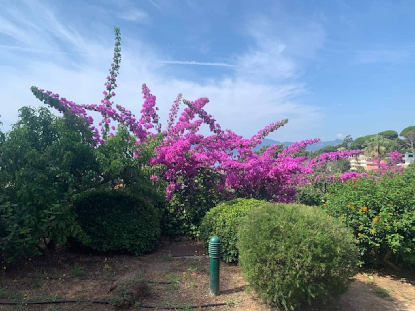 Cannes 2/3 pieces vue mer et Esterel wifi clim, photo 4 of 10